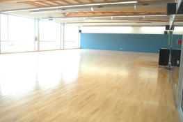 pdg-sala1-263x165.jpg