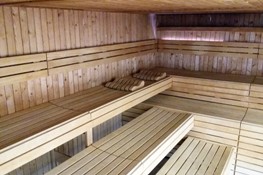 pdg-sauna.jpg